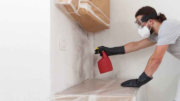 Attic Mold Remediation treatment on roof deck in Dunkirk
